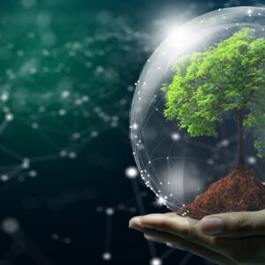 課題に合わせた最適なIT体制を構築します。