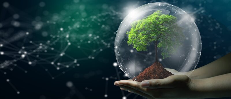 課題に合わせた最適なIT体制を構築します。